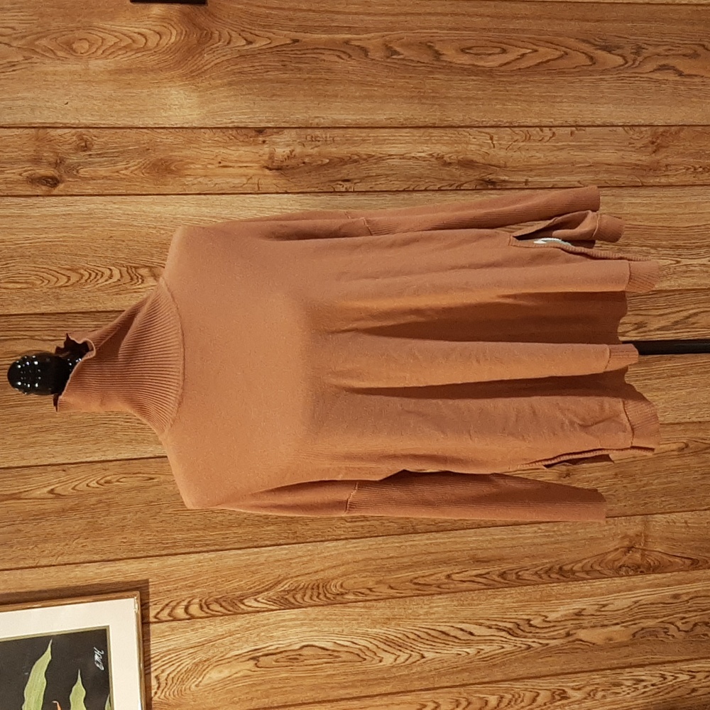 🦧Boston Proper Long-Sleeve Brown Turtleneck (XS)🦧